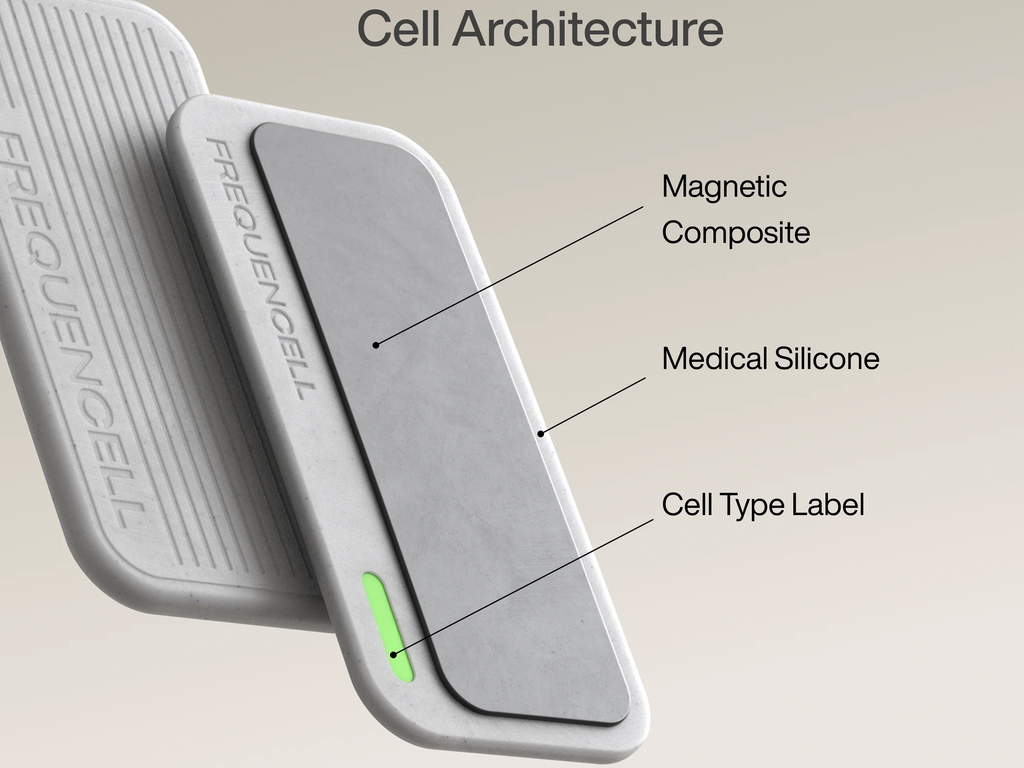 MenstruationCell